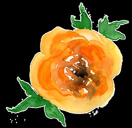 橙黃花蕊透明裝飾素材
