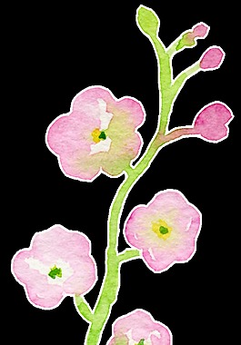 冰粉花枝透明裝飾素材