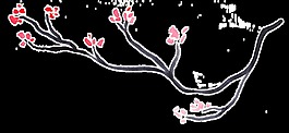 唯美樹(shù)枝花卉透明裝飾素材