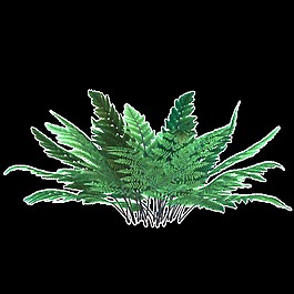 黑草花叢透明裝飾素材