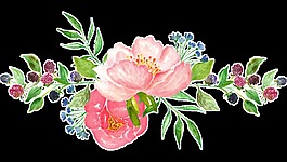春季綻放花卉透明裝飾素材