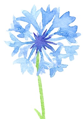 藍(lán)色大氣花卉透明裝飾素材