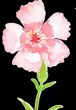 粉色漸變花束透明裝飾素材