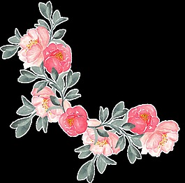 茂密盛開(kāi)花卉透明裝飾素材