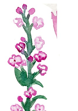 粉色小花朵透明装饰素材