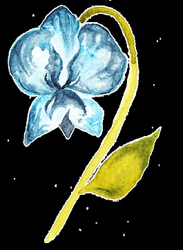 唯美藍(lán)色花卉透明裝飾素材