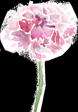 甜蜜花卉透明裝飾素材