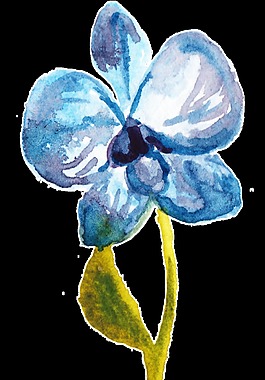 藍(lán)色水墨植物透明裝飾素材