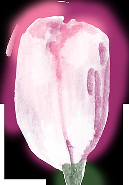 水墨粉色花朵透明裝飾素材