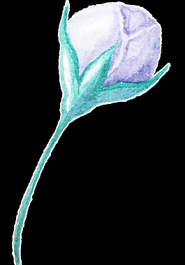 紫色花蕊透明裝飾素材