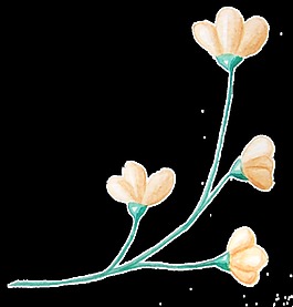 粉嫩花枝透明裝飾素材