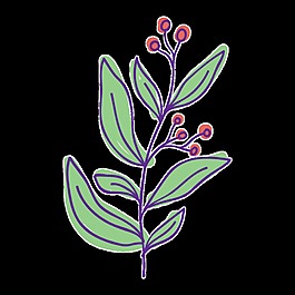 粉底桃花透明裝飾素材