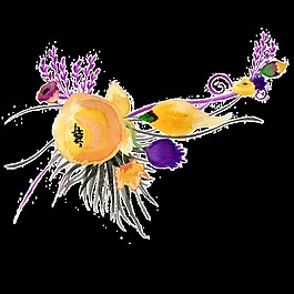 蜂蜜花葉透明裝飾素材