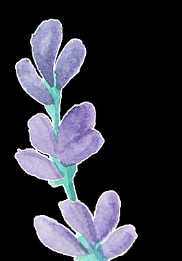 水嫩花枝透明裝飾素材