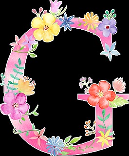 花蕊彎月透明裝飾素材