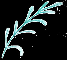 水嫩花枝透明裝飾素材
