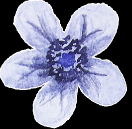魅紫花瓣透明裝飾素材