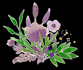 紫色花蕊透明裝飾素材