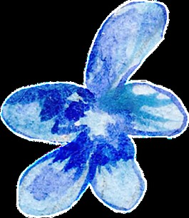 水藍花瓣透明裝飾素材
