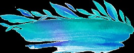 水藍(lán)花葉透明裝飾素材