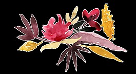 单调花枝透明装饰素材