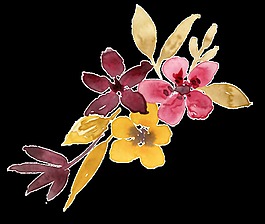 粉花花朵透明裝飾素材