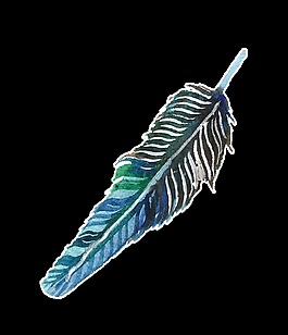 白紋羽毛透明裝飾素材