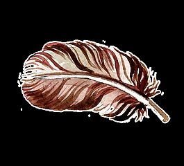 巧克力羽毛透明裝飾素材