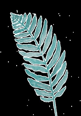 青綠枝葉透明裝飾素材