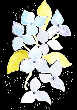 白黃花葉透明裝飾素材
