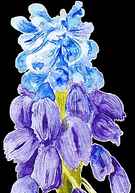 花蕊冰泉透明裝飾素材