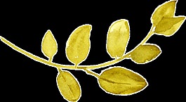 金黃花葉透明裝飾素材