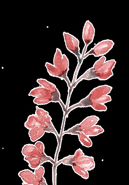 紅色花枝透明裝飾素材