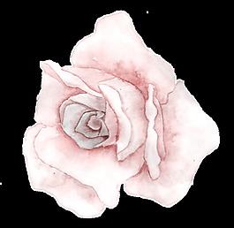 粉白花蕊透明裝飾素材