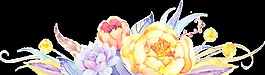 輝煌花蕊透明裝飾素材