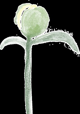 黃綠花枝透明裝飾素材