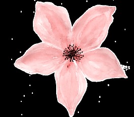 粉色花瓣透明裝飾素材