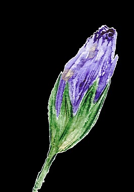 紛紫花蕊透明裝飾素材