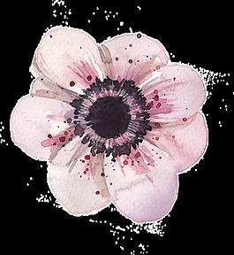 黑点花蕊透明装饰素材