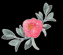红色花叶透明装饰素材