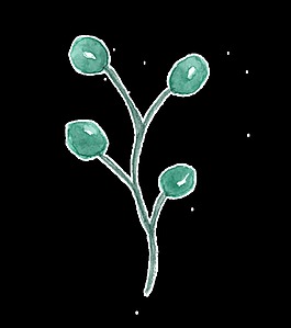 水晶綠枝透明裝飾素材