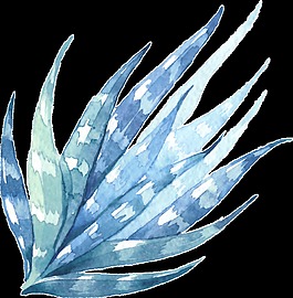 白文海草透明裝飾素材