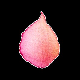 精致花瓣透明裝飾素材