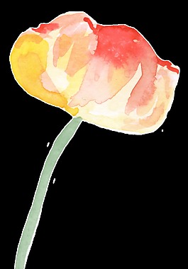紅黃花蕊透明裝飾素材