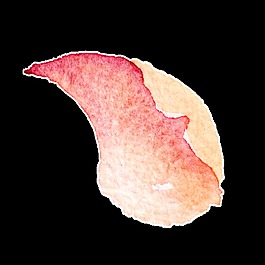 玫瑰花花瓣透明裝飾素材