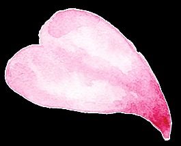 红心花蕊透明装饰素材