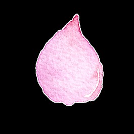 唯美水彩花瓣透明装饰素材
