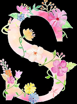 花卉字母透明裝飾素材