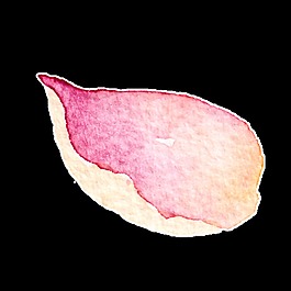 飄落花瓣透明裝飾素材