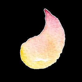 創(chuàng)意花瓣透明裝飾素材